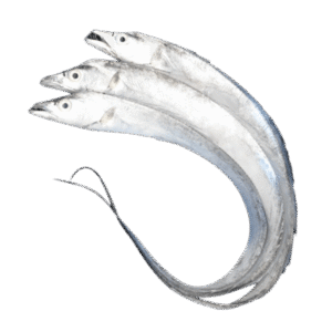 带鱼条 Pescado Sable Entero