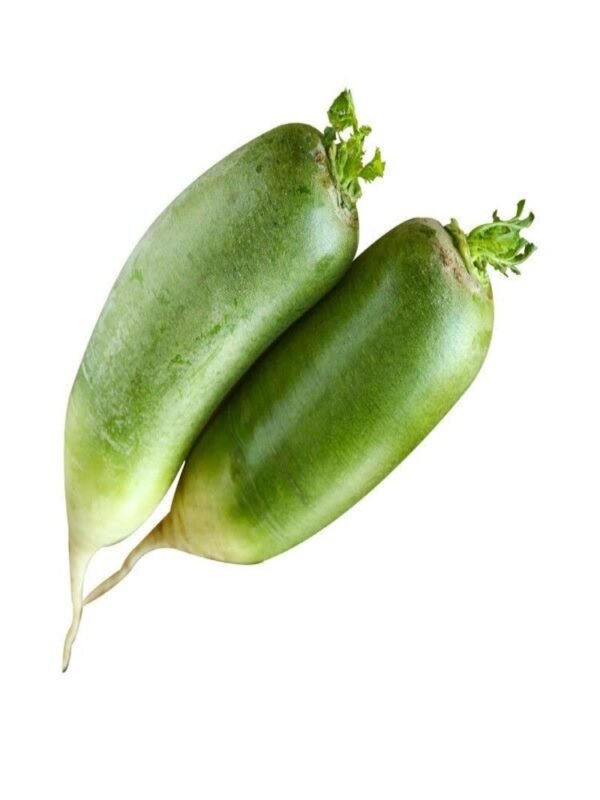 绿萝卜 NABO VERDE