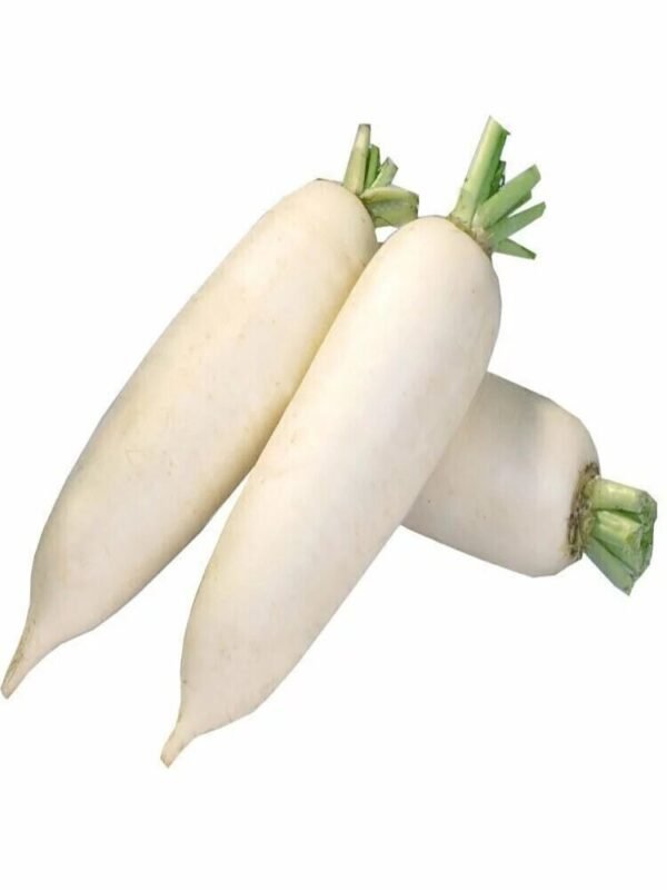 白萝卜 NABO BLANCO