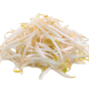 新鲜绿豆芽/袋 5KG BROTE SOJA