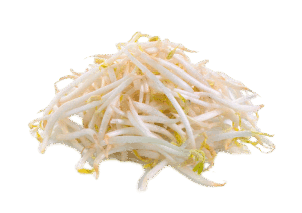 绿豆芽/KG BROTE DE SOJA