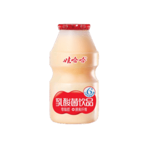 娃哈哈乳酸菌 Beb.bacteria haloacida