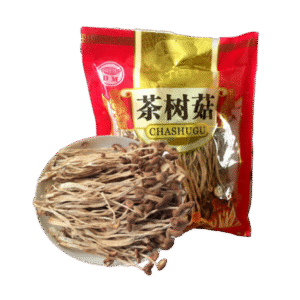 茶树菇