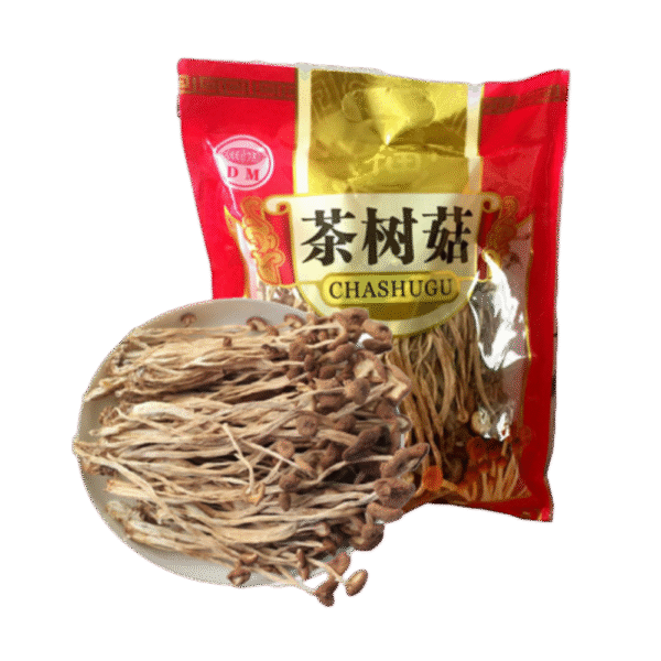 茶树菇