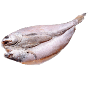 大白鲞 pescado salado