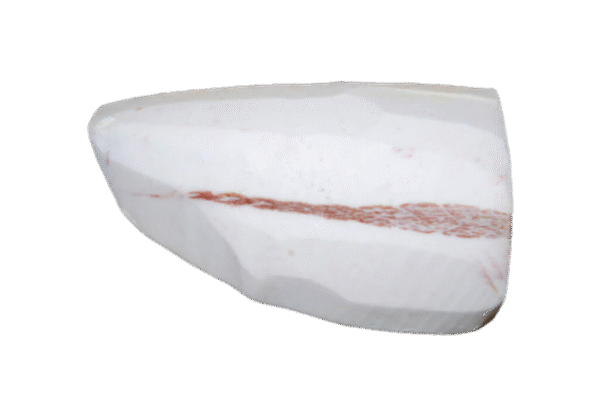 寿司白鱼 Pez mantequilla