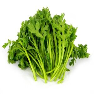 皇帝菜 Tong Hao Chino