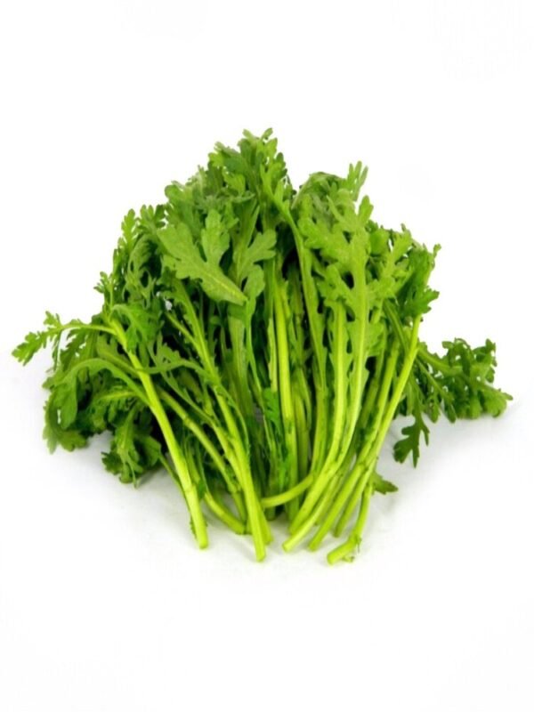 皇帝菜 Tong Hao Chino