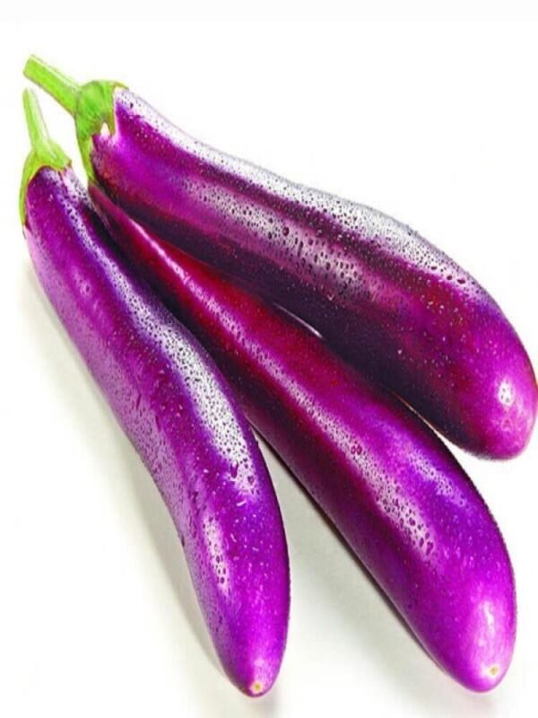茄子 BERENGENA