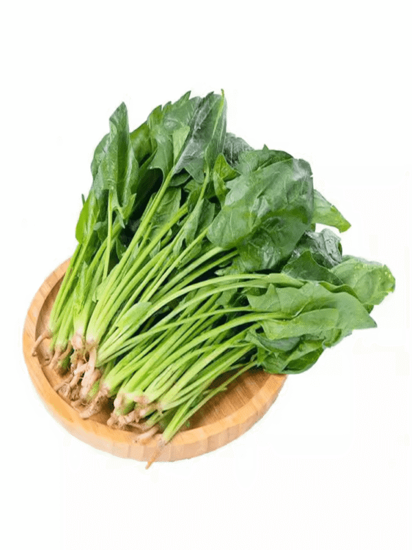 菠菜 Espinaca