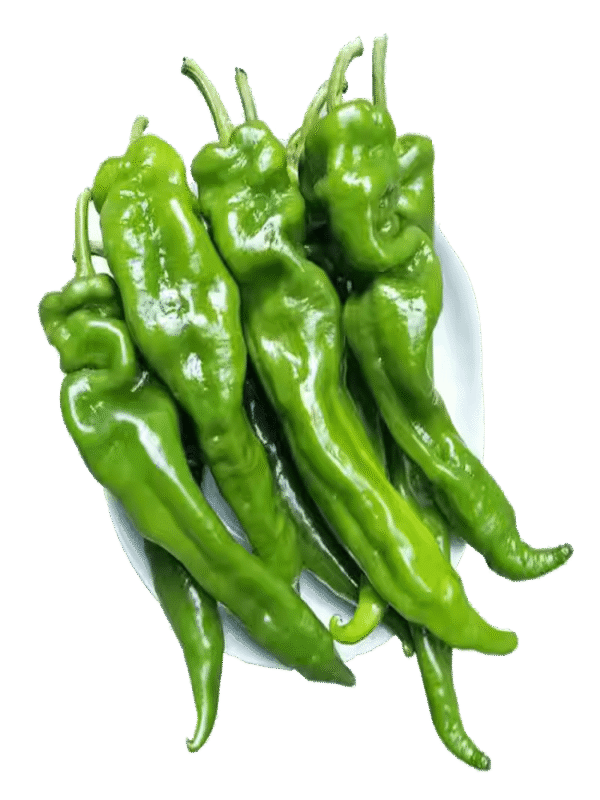 青椒 Pimiento Picante. KG