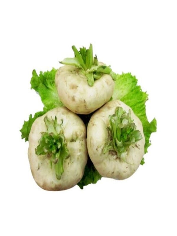 盘菜1KG NABO REDONDO