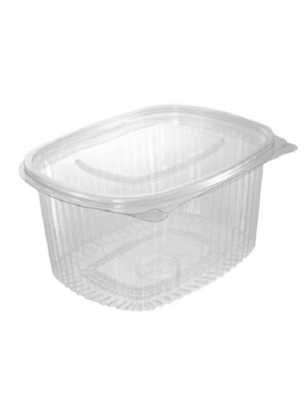 连盖塑料方外卖盒 Envase Cuadrado*Caja
