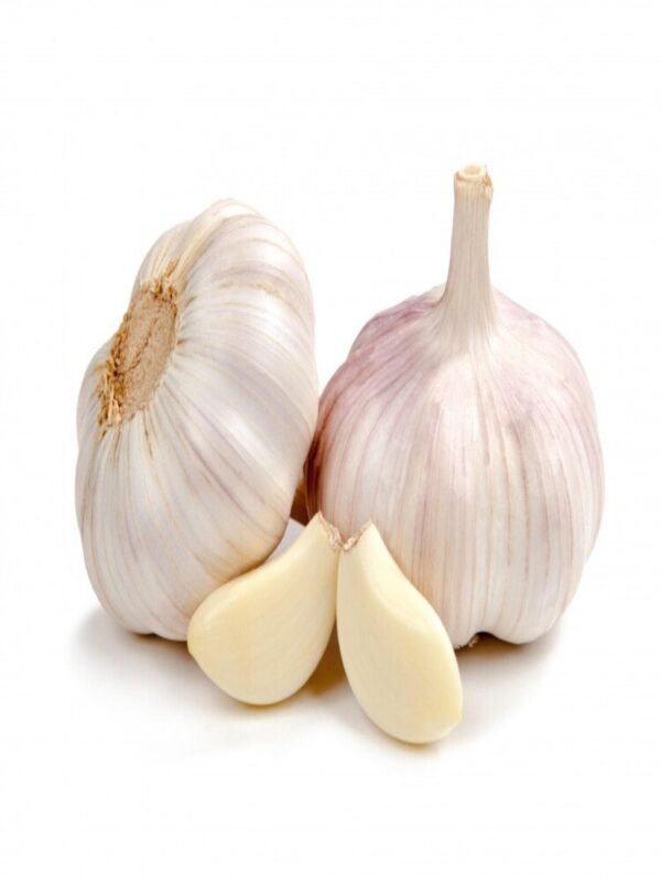 大蒜 AJO