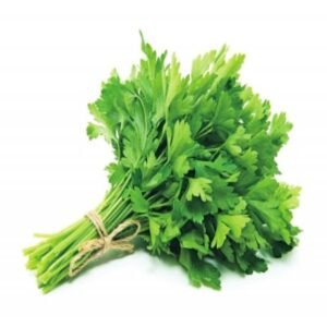 中国香菜 CILANTRO CHINO