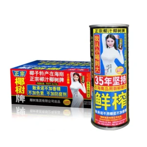 椰树椰子汁.箱 Bebida De Coco*Caja