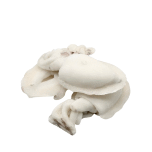 冷冻墨鱼SEPIA LIMPIA 8KG